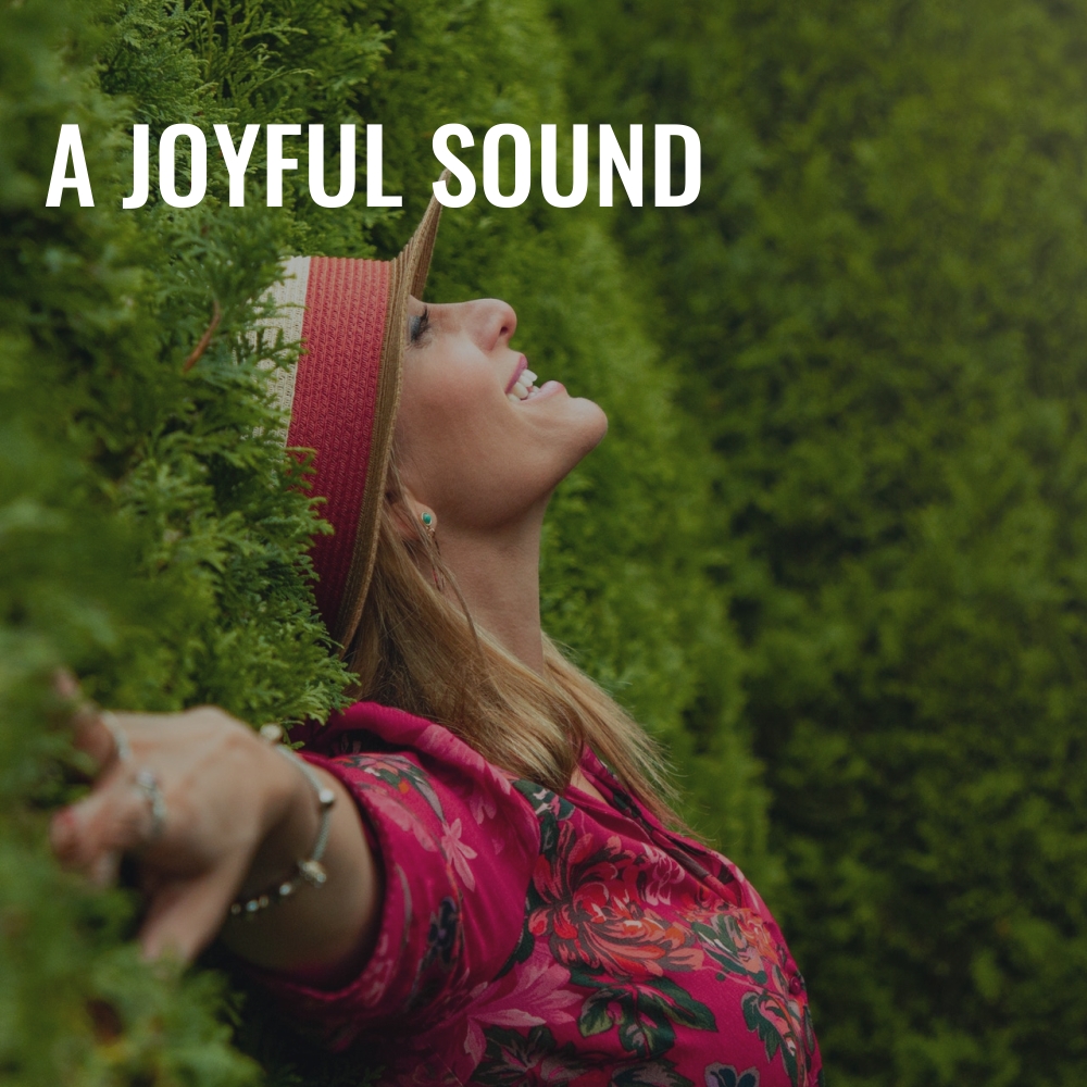 A Joyful Sound Royalty Free Music HookSounds