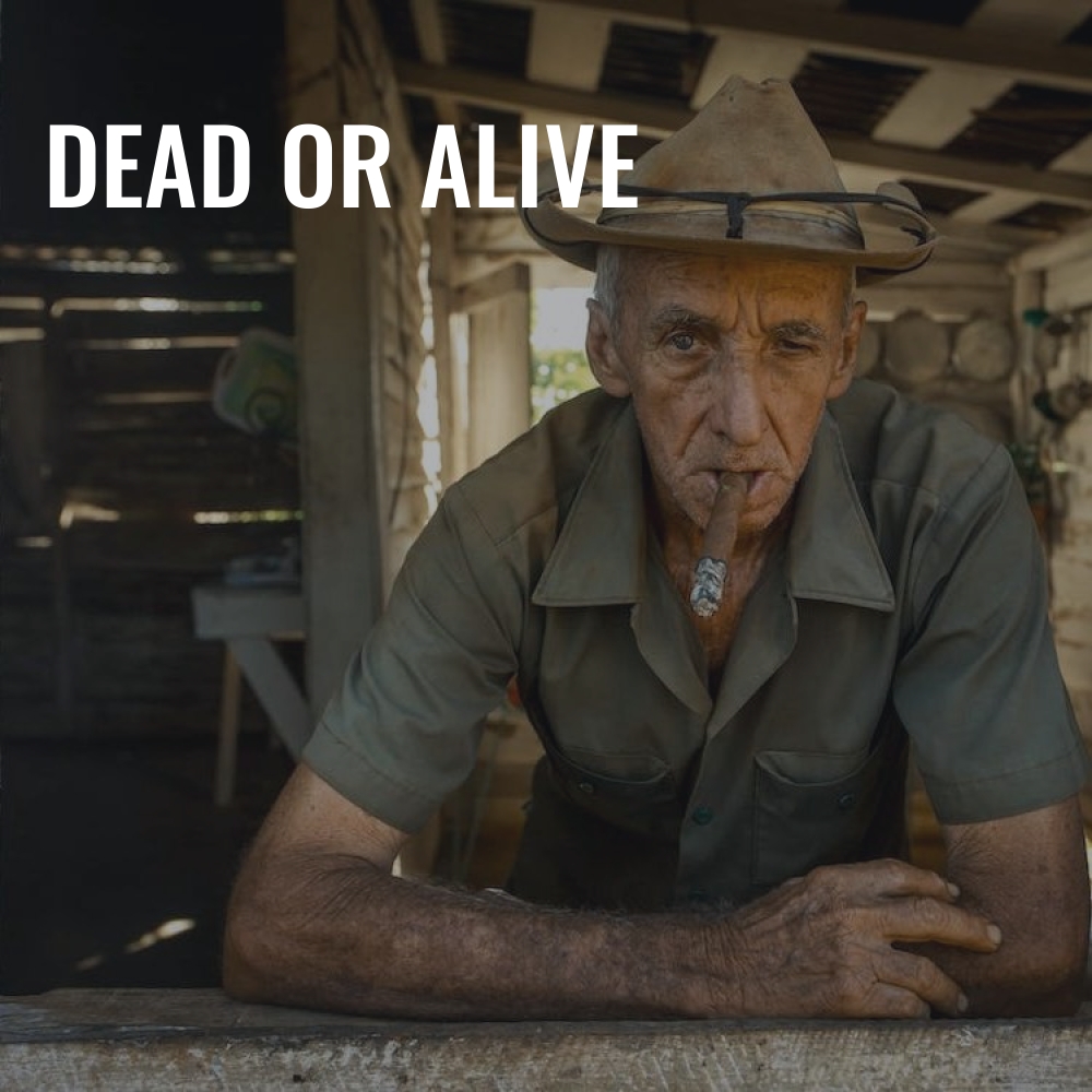 Dead Or Alive | Royalty Free Music | HookSounds