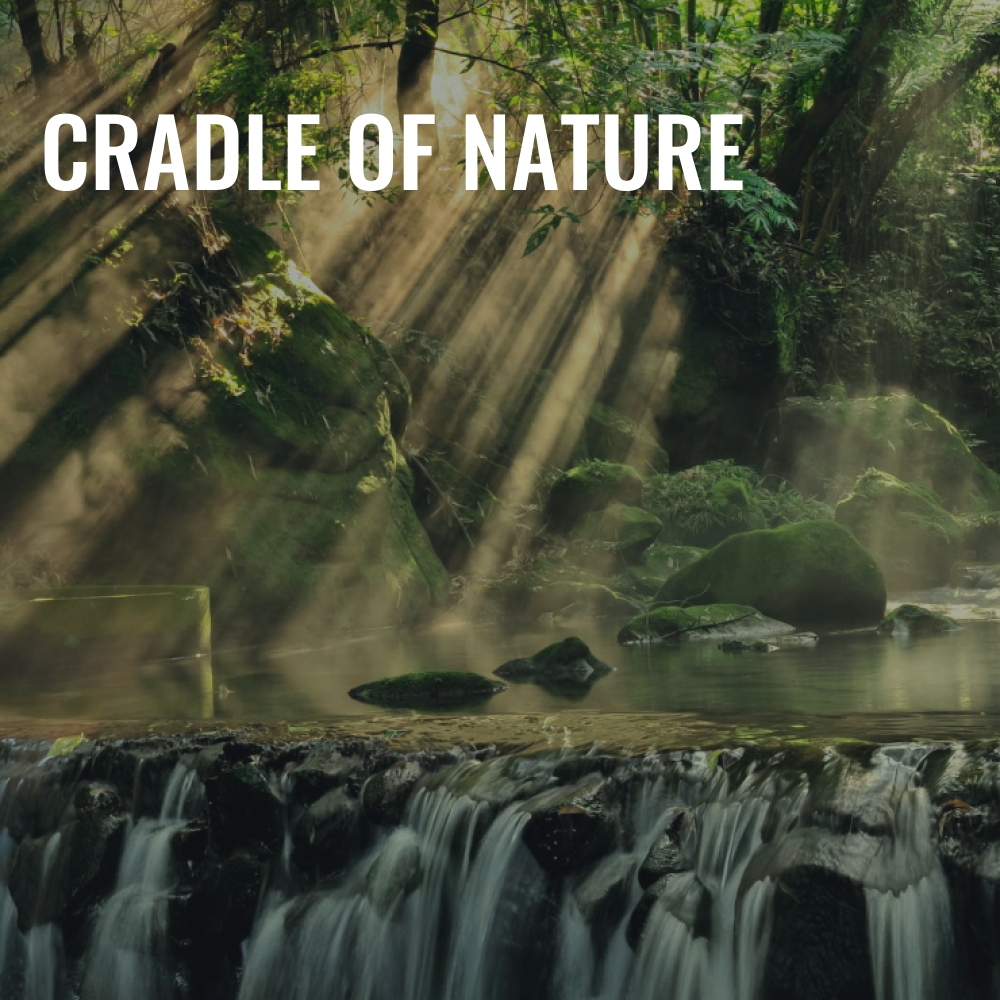 Cradle of Nature