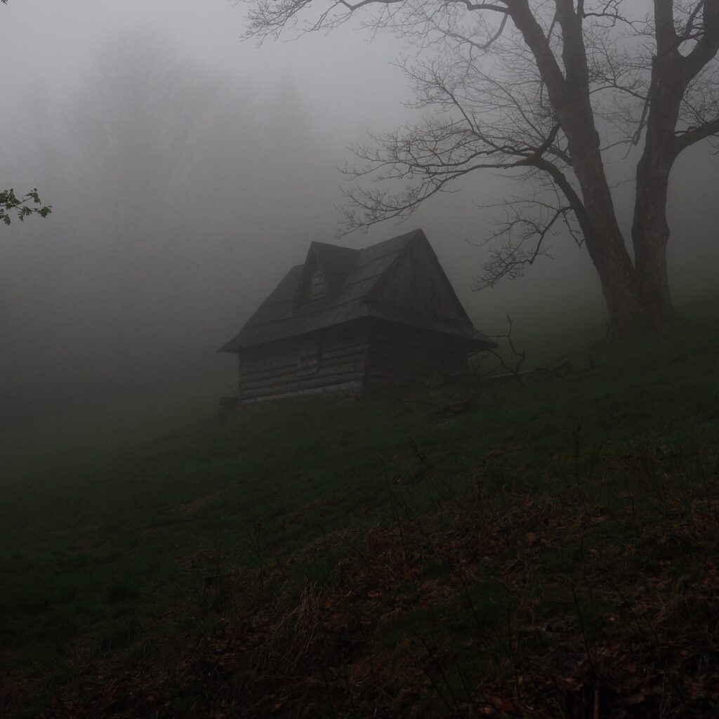 Estratégias Assustadoras para a Criação de Filmes de Terror"