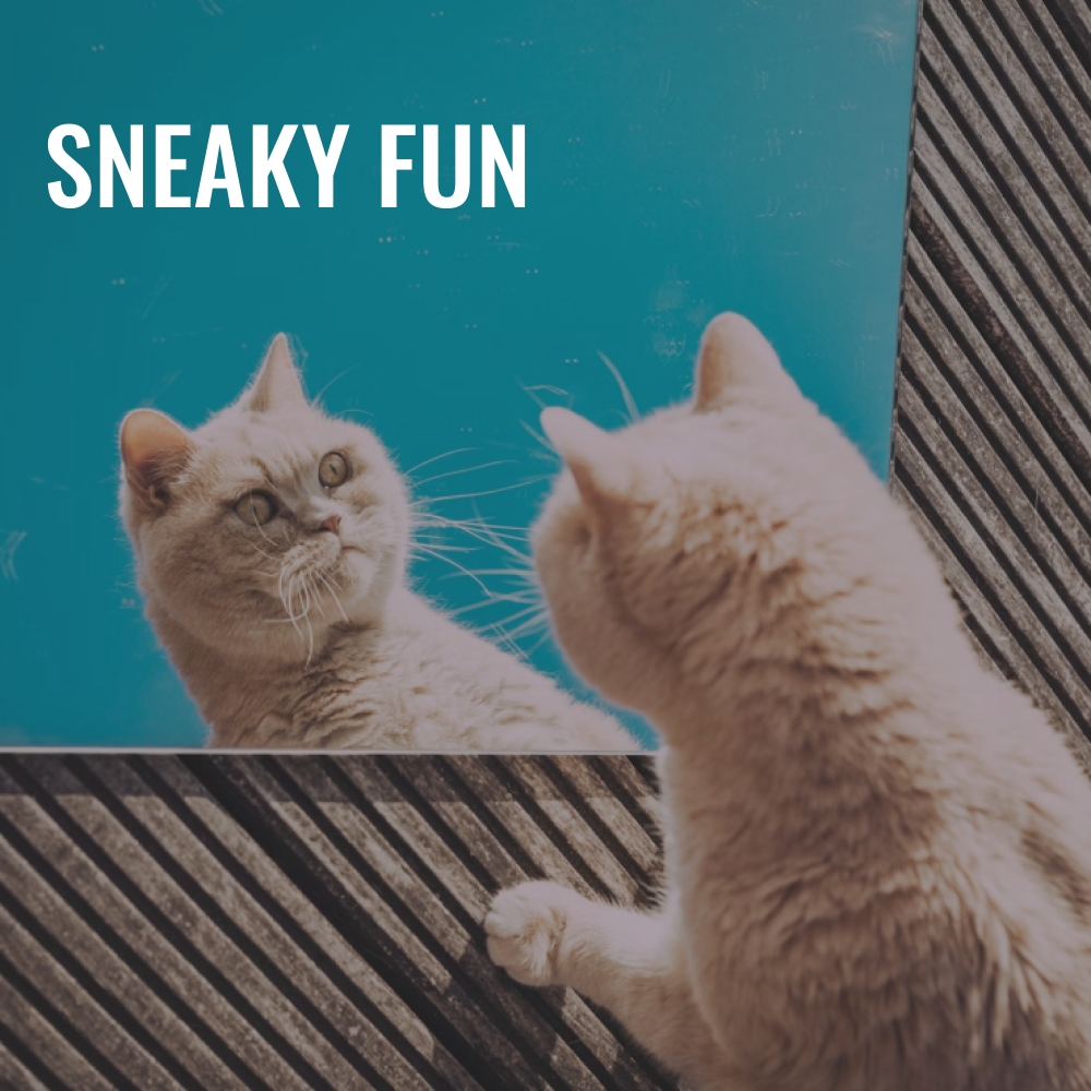 Sneaky Fun Royalty Free Music Hooksounds