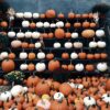 Miniatura para Como a IA é essencial para seus vídeos de Halloween