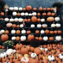 Miniaturansicht für Warum KI deine Halloween-Videos revolutionieren kann