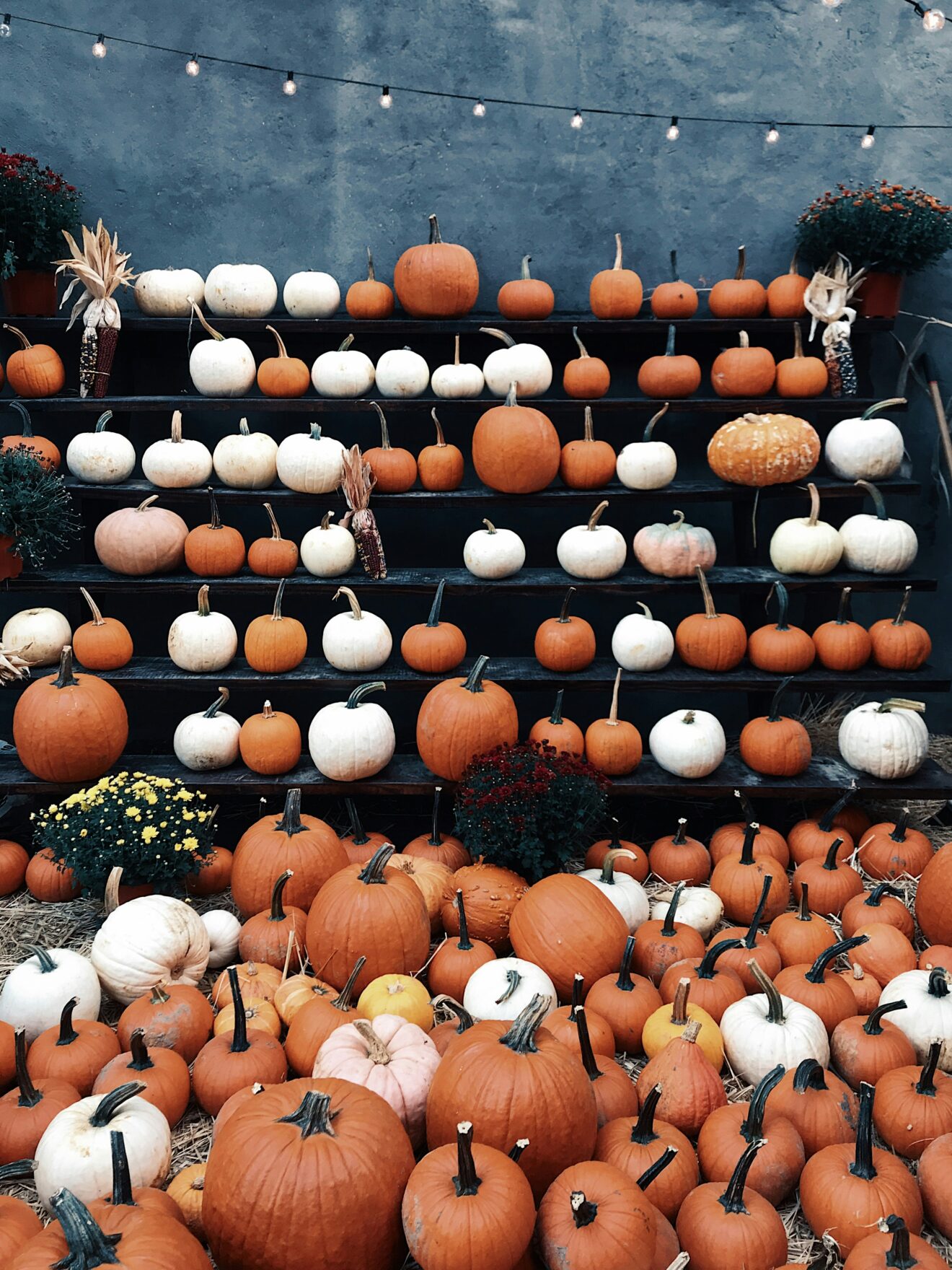 Thumbnail for Why AI Music is a Game Changer for Halloween Videos