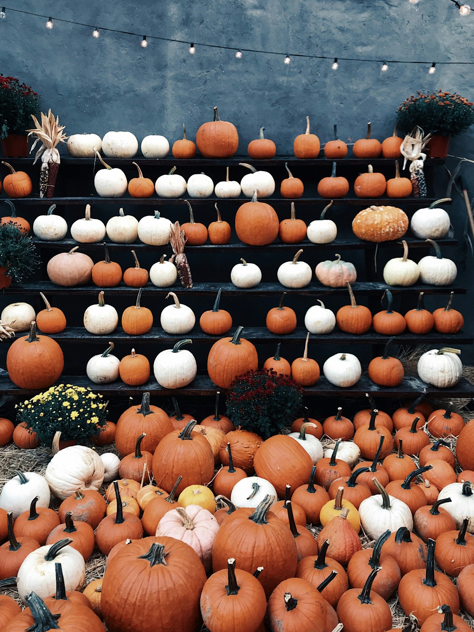 Miniaturansicht für Warum KI deine Halloween-Videos revolutionieren kann