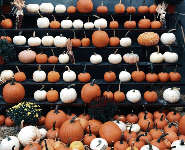 Miniatura para Cómo la IA es clave para tus videos de Halloween