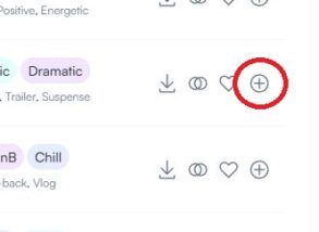 Una captura de pantalla del ícono más para agregar una pista a una lista de reproducción.