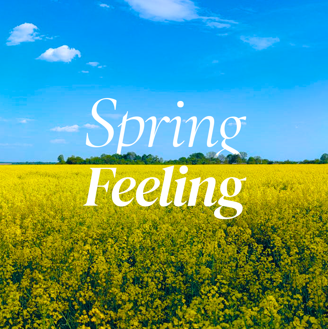 Springtime Feeling Música para Boda libre de regalías | HookSounds