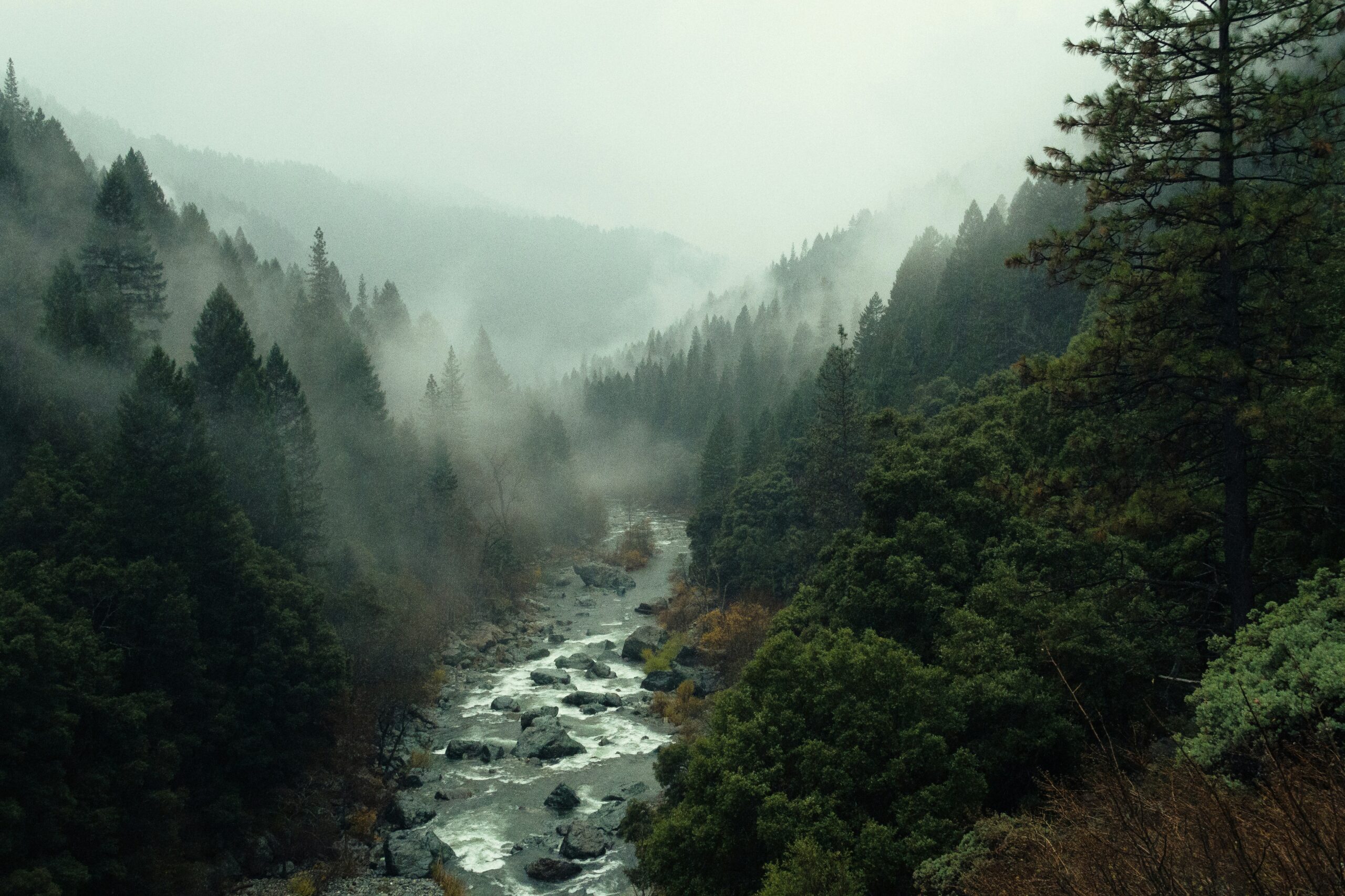 Ein Fluss, der an einem regnerischen Tag durch einen Wald fließt. Musik ahmt Klänge aus der Natur nach, um Emotionen hervorzurufen.
