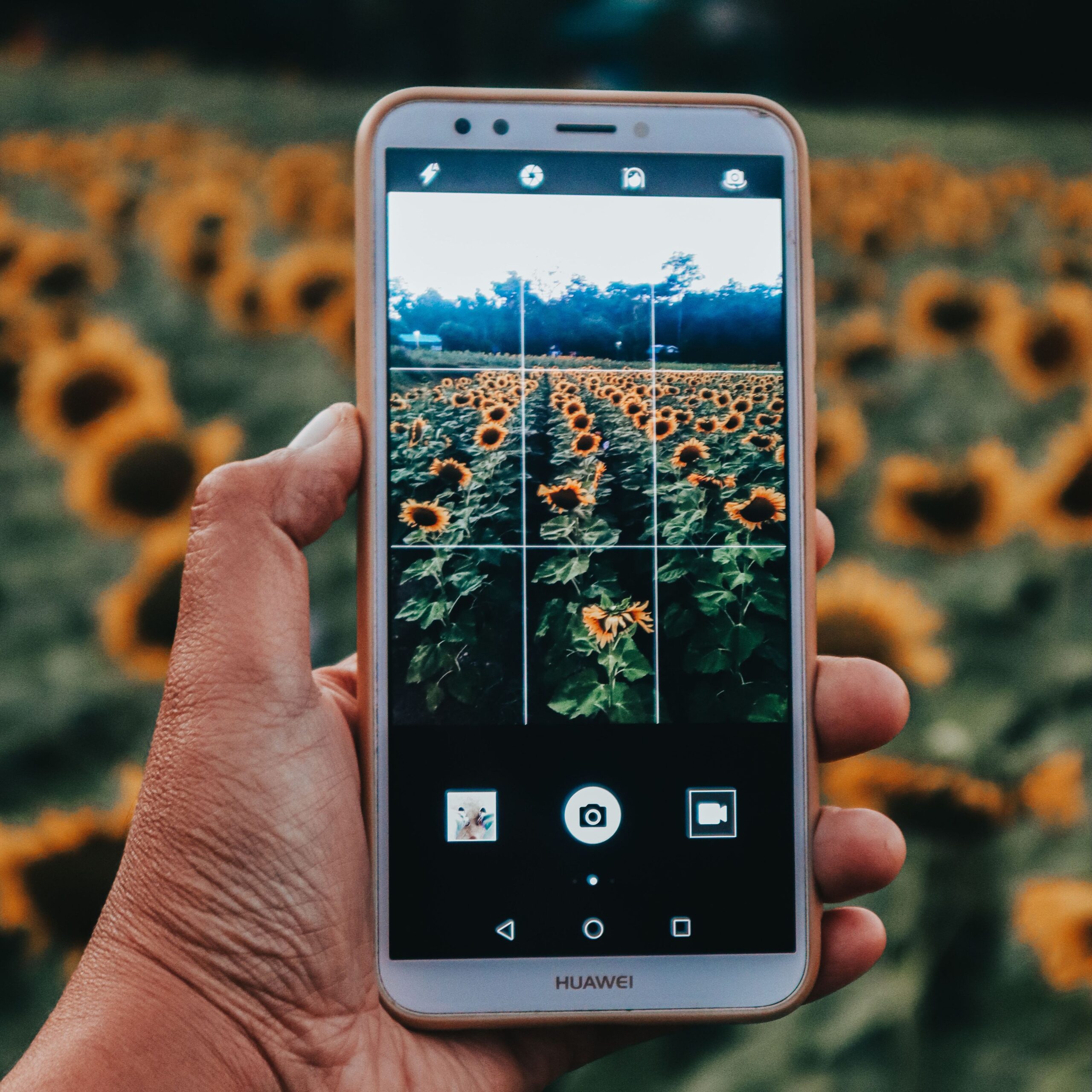 A smartphone camera showing the screen divided into a grid of thirds. The rule of thirds and symmetry lines help to purposefully compose the frame.