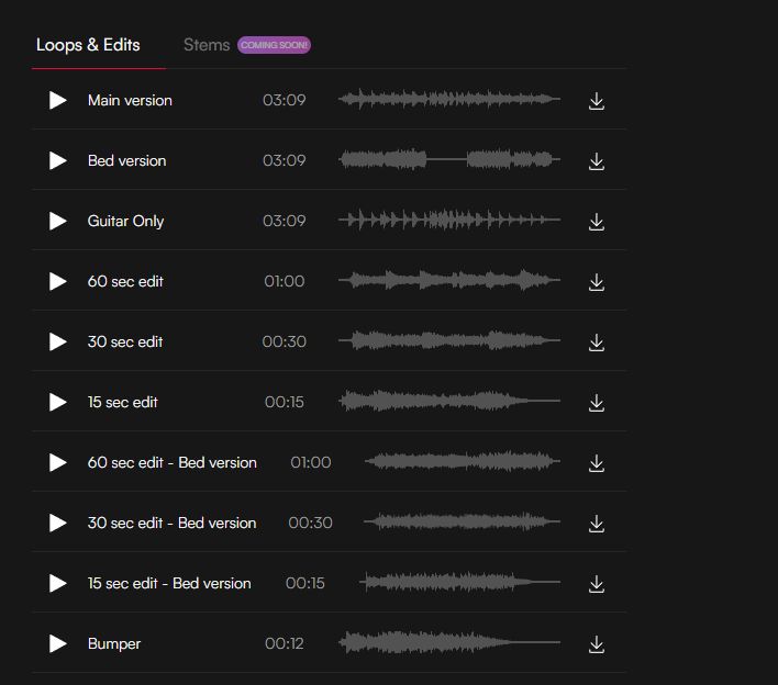 Unlike many other music sites, HookSounds provides platform-standardized versions for each track, making it faster and easier to implement music in your projects.